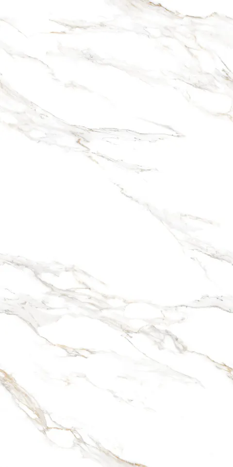 JAYDEN PEARL CONV view 5